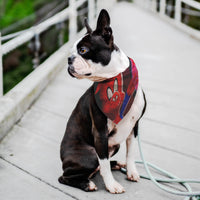 Spider-Ham Pet Bandana